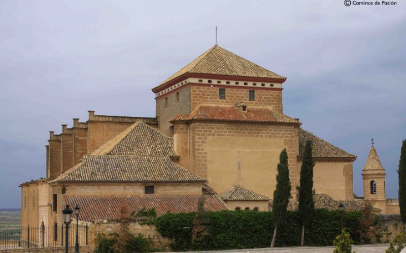 Colegiata  de Nuestra Señora de la Asunción